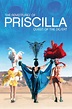 The Adventures of Priscilla, Queen of the Desert – ArtRage Gallery
