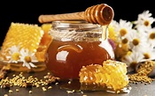 La miel de abeja: el oro líquido de México - México Desconocido