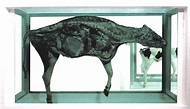 Damien Hirst Sculpture - The Cow