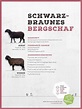 Südtiroler Kleintierzüchter: Schafzucht - Die bedeutende Rolle als ...