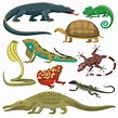 Reptiles animales conjunto de vectores. | Vector Premium