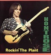 boogie woody: RONNIE MONTROSE