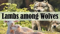 Lambs among Wolves (Luke 10:3) | Fr. Shenouda Meleka - YouTube