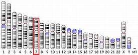 Zinc finger protein 107 - Wikipedia