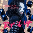 Dead Or Alive - Rip It Up (CD) | Discogs