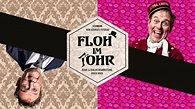 Floh im Ohr – Trailer | Portfolio Gregor Juon – Multimedia Producer