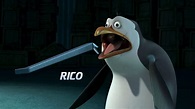 Rico | Pingüinos de Madagascar Wiki | Fandom powered by Wikia