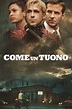 Come un tuono (2013) - Poster — The Movie Database (TMDB)