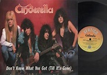 Cinderella Don't Know What You Got Till It's Gone Records, LPs, Vinyl ...