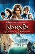 The Chronicles of Narnia: Prince Caspian Picture - Image Abyss