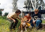 Der Hund aus der Elbe (1999) :: starring: Fjodor Olev, Tobias Pippig ...
