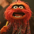 Pin by ♜Kali Baucom 🐸🐷 on Muppets | Muppets, Animal muppet, The muppets ...