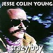 Crazy Boy by Jesse Colin Young (CD, Apr-1995, Ridgetop) for sale online ...