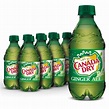 Canada Dry Ginger Ale Soda, 12 botellas de fl oz, | Ubuy Chile