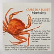 Crabs in a Bucket Square Poster Print | Zazzle.com