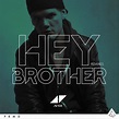 Avicii – Hey Brother (Extended Version) Lyrics | Genius Lyrics