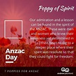 7 Poppies for ANZAC - The Poppy of Spirit reminds us the depth of ...