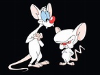 11 Pinky And The Brain HD Wallpapers | Achtergronden - Wallpaper Abyss