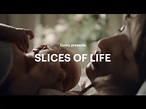 Slices of Life - Main Film - YouTube