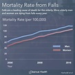 3 Charts: Fall Mortality Statistics for the Elderly | Visualized Science