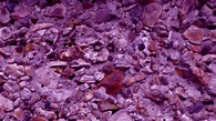 Purple Pebble Background Pattern Free Stock Photo - Public Domain Pictures