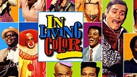 In Living Color - TheTVDB.com