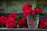 As 10 flores mais românticas e o que significam. Para surpreender o ...