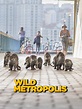 Wild Metropolis: Season 1 Pictures - Rotten Tomatoes