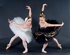 Odette/Odile | Dance photography poses, Dance photography, Swan lake