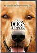 A Dog's Purpose: Britt Robertson, Dennis Quaid: Amazon.com.mx ...