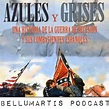 AZULES Y GRISES: Una historia de la Guerra de Secesión y sus ...