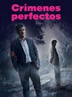 Crímenes Perfectos - T1 | SincroGuia TV