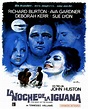 Cinemelodic: Crítica: LA NOCHE DE LA IGUANA (1964) -Parte 2/3-