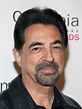 Joe Mantegna Photos | Tv Series Posters and Cast