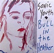 Sonic Youth - Bull In the Heather Lyrics and Tracklist | Genius