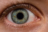 Human eye - Wikiwand