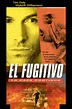 El fugitivo: La caza continúa (serie 2000) - Tráiler. resumen, reparto ...