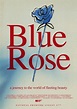 Blue Rose - película: Ver online completas en español