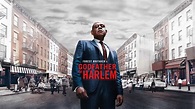 Watch Godfather of Harlem · Season 1 Full Episodes Free Online - Plex