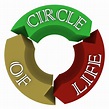 Circle of Life Arrows in Circular Cycle Showing Connections - Margaret ...