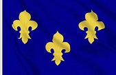 Drapeau Royaume de France (1370-1792) - vente en ligne | Flagsonline.fr