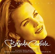 Belinda Carlisle Big Big Love Charts