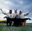 The Beatles – I Am the Walrus Lyrics | Genius Lyrics