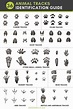 36 Most Common Animal Tracks | Identification Guide for USA in 2020 ...