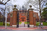 Universidade de Harvard tem mais de 100 cursos gratuitos