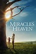 Miracles from Heaven (2016) - Posters — The Movie Database (TMDB)
