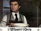 L'oiseau rare (1973)