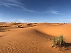 Desiertos del mundo: Ecosistemas terrestres- Style4life