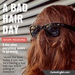 Idiom: bad hair day (meaning & sentence examples)
