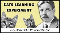 Edward Thorndike cats experiment (behavioral psychology) - YouTube